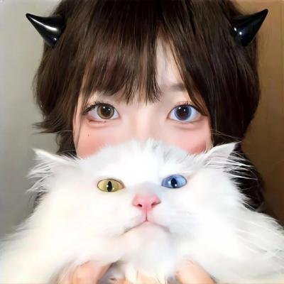 魔法灵猫